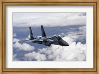 F-15C Aggressor Fine Art Print