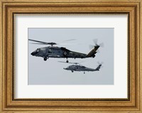 An SH-60F and HH-60H Seahawk Fine Art Print