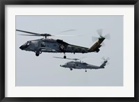 An SH-60F and HH-60H Seahawk Fine Art Print