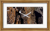 TG-15A Glider Fine Art Print