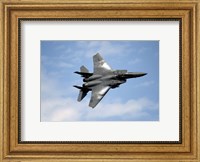 F-15E Strike Eagle Fine Art Print