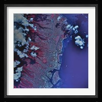 Honolulu, Hawaii Fine Art Print