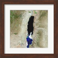 The Dead Sea Fine Art Print