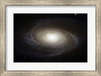 Spiral Galaxy M81 Fine Art Print