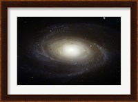 Spiral Galaxy M81 Fine Art Print