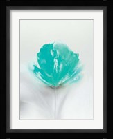 Aqua Sorbet I Fine Art Print