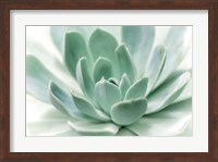 Zen Fine Art Print