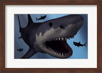 A Megalodon Shark Fine Art Print