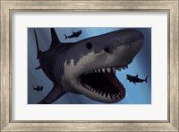 A Megalodon Shark Fine Art Print