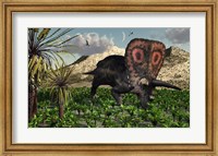 Torosaurus Dinosaur Fine Art Print