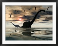 Diplodocus Dinosaurs Framed Print