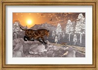 Sabre Tooth Tigers in Winter Fine Art Print