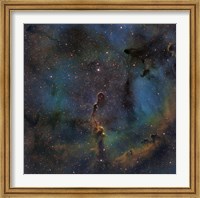 IC 1396, the Elephant Trunk Nebula Fine Art Print