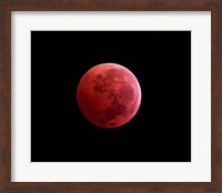 Total Lunar Eclipse Fine Art Print