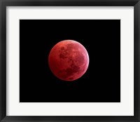 Total Lunar Eclipse Fine Art Print