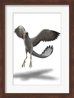 Archaeopteryx Fine Art Print