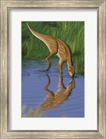 Hypsilophodon Fine Art Print