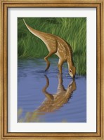 Hypsilophodon Fine Art Print