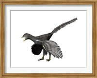 Archaeopteryx Lithographica Fine Art Print
