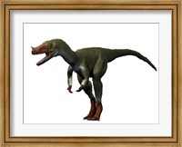 Proceratosaurus Dinosaur Fine Art Print
