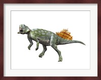 Psittacosaurus Lujiatunensi Fine Art Print