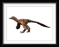 Sinornithosaurus Dinosaur Framed Print
