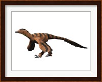 Sinornithosaurus Dinosaur Fine Art Print
