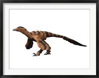 Sinornithosaurus Dinosaur Framed Print
