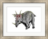 Styracosaurus Dinosaur Fine Art Print