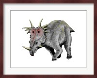 Styracosaurus Dinosaur Fine Art Print