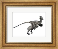 Troodon Dinosaur Fine Art Print