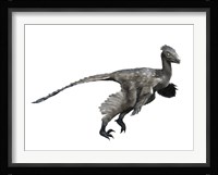 Troodon Dinosaur Framed Print