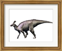 Tsintaosaurus Dinosaur Fine Art Print