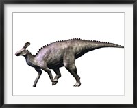 Tsintaosaurus Dinosaur Fine Art Print