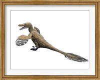 Velociraptor Mongoliensis Fine Art Print