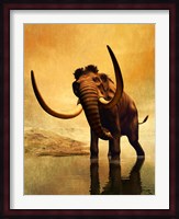 Wooly Mammoth and Sunset Fine Art Print