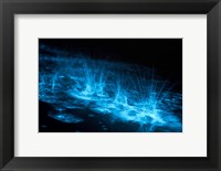 Bioluminescence Splashes in the Gippsland Lakes Fine Art Print