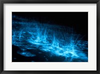 Bioluminescence Splashes in the Gippsland Lakes Fine Art Print