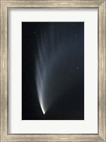 Comet McNaught P1 Fine Art Print