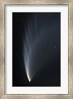 Comet McNaught P1 Fine Art Print