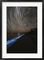 Star Trails over Bioluminescence Fine Art Print