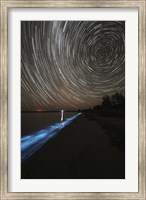 Star Trails over Bioluminescence Fine Art Print