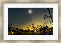 Solar Eclipse Composite Fine Art Print