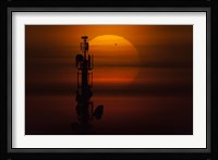 Transit of Venus Fine Art Print