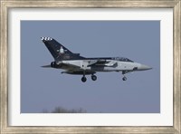 A Panavia Tornado F3 of the Royal Air Force Fine Art Print