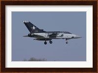 A Panavia Tornado F3 of the Royal Air Force Fine Art Print