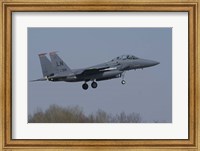 US Air Force F-15E Strike Eagle Fine Art Print