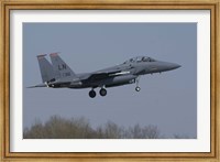 US Air Force F-15E Strike Eagle Fine Art Print