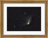 Comet Panstarrs Fine Art Print
