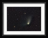 Comet Panstarrs Fine Art Print